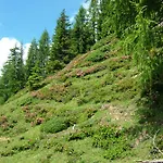 Haus Katharina 3* Wagrain