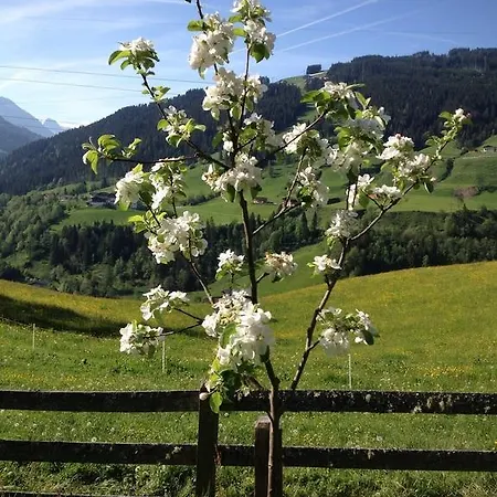 Haus Katharina Guest house Wagrain