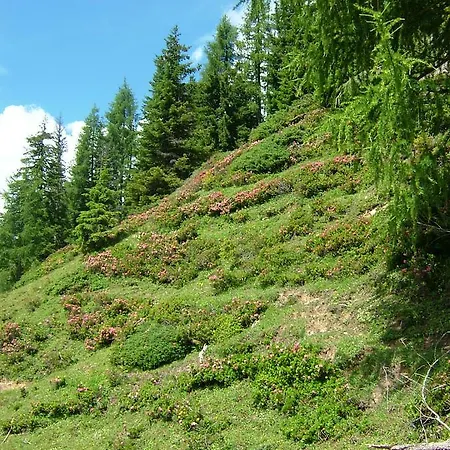 Haus Katharina 3* Ваграйн