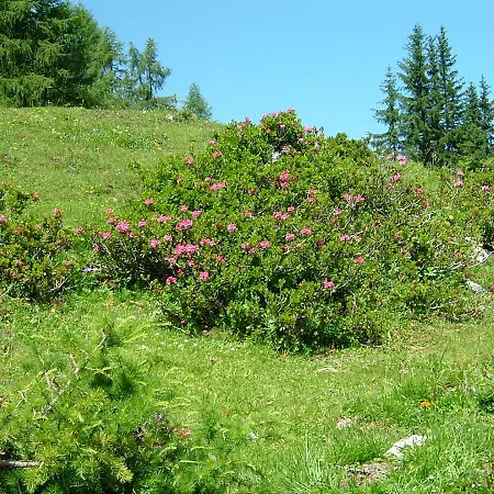 Haus Katharina Гостевой дом 3*