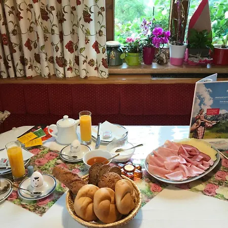 Haus Katharina Maison d'hôtes Wagrain