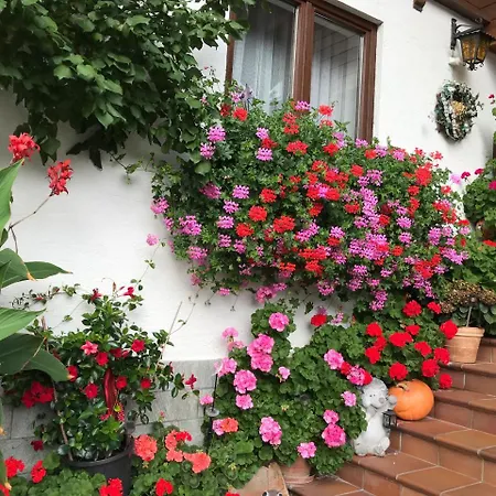 Haus Katharina Wagrain