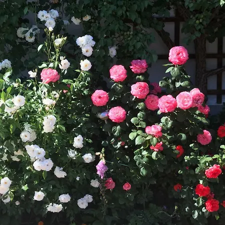 Гостевой дом Haus Katharina