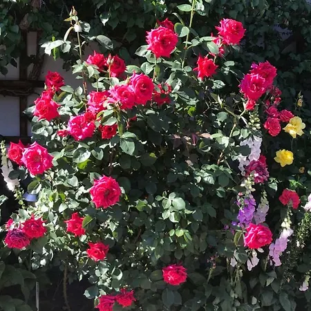 Haus Katharina Wagrain